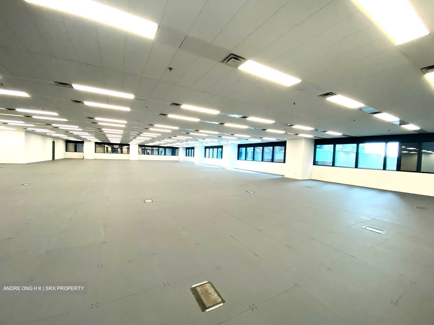 Robinson 77 (D1), Office #623529041